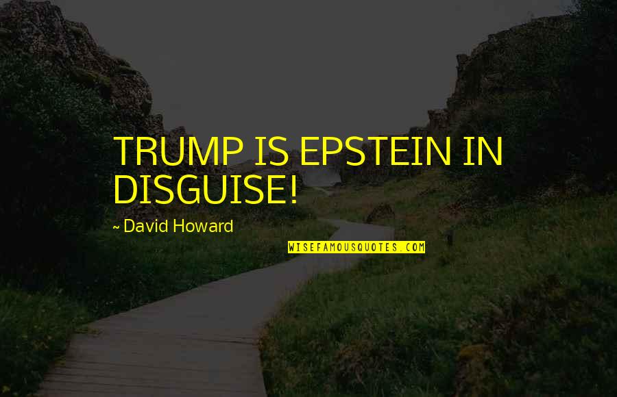 Relationships Go Through Ups Downs Quotes By David Howard: TRUMP IS EPSTEIN IN DISGUISE!