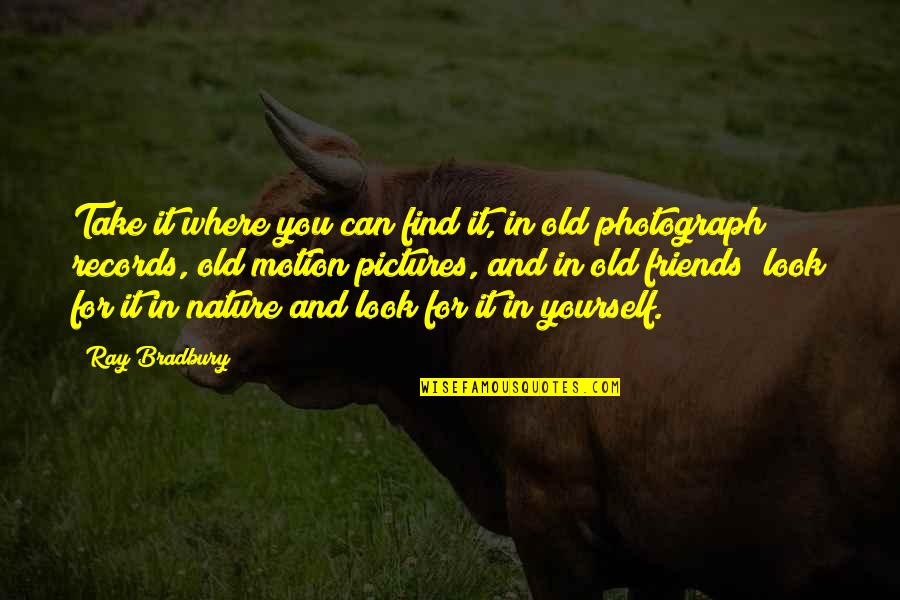 Relativite Restreinte Quotes By Ray Bradbury: Take it where you can find it, in Relativite Restreinte Quotes By Ray Bradbury: Take it where you can find it, in