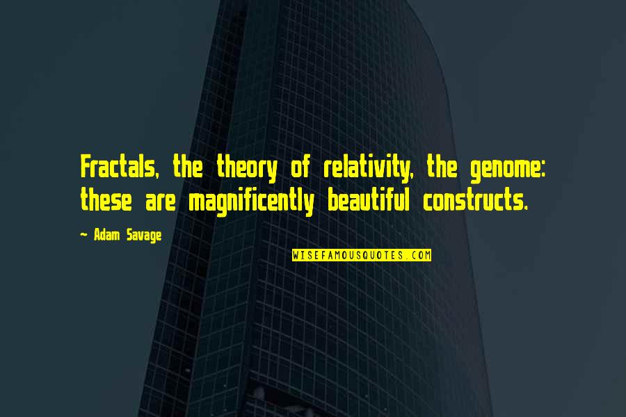 Relativity Theory Quotes By Adam Savage: Fractals, the theory of relativity, the genome: these
