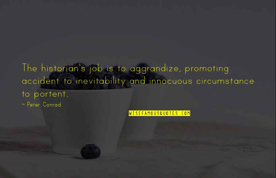 Relatorio Tecnico Quotes By Peter Conrad: The historian's job is to aggrandize, promoting accident