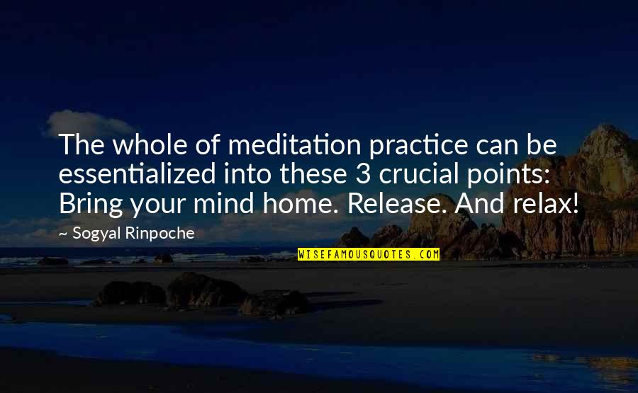 Relax Mind Quotes By Sogyal Rinpoche: The whole of meditation practice can be essentialized