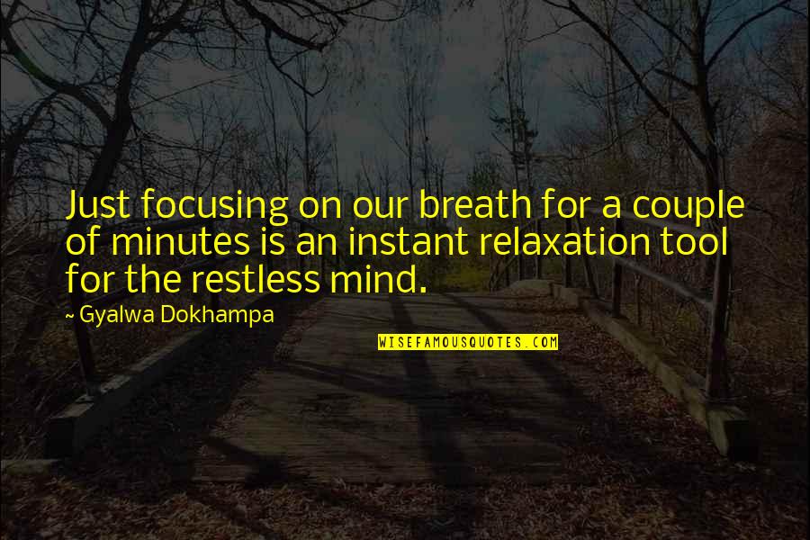 Relaxation Mind Quotes By Gyalwa Dokhampa: Just focusing on our breath for a couple Relaxation Mind Quotes By Gyalwa Dokhampa: Just focusing on our breath for a couple