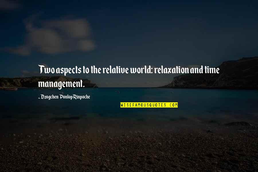 Relaxation Quotes By Dzogchen Ponlop Rinpoche: Two aspects to the relative world: relaxation and Relaxation Quotes By Dzogchen Ponlop Rinpoche: Two aspects to the relative world: relaxation and