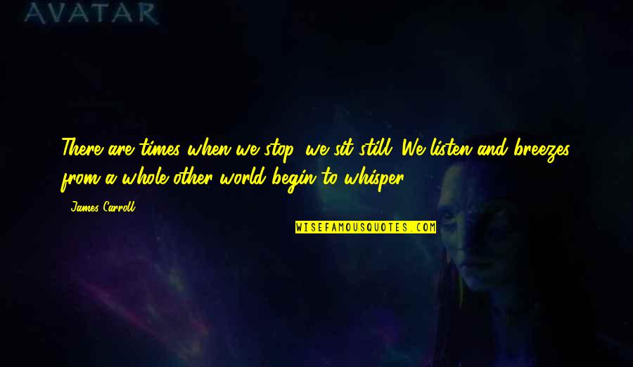Relaxation Quotes By James Carroll: There are times when we stop, we sit Relaxation Quotes By James Carroll: There are times when we stop, we sit