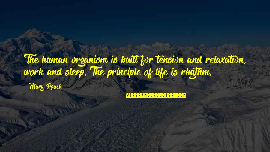 Relaxation Quotes By Mary Roach: The human organism is built for tension and Relaxation Quotes By Mary Roach: The human organism is built for tension and