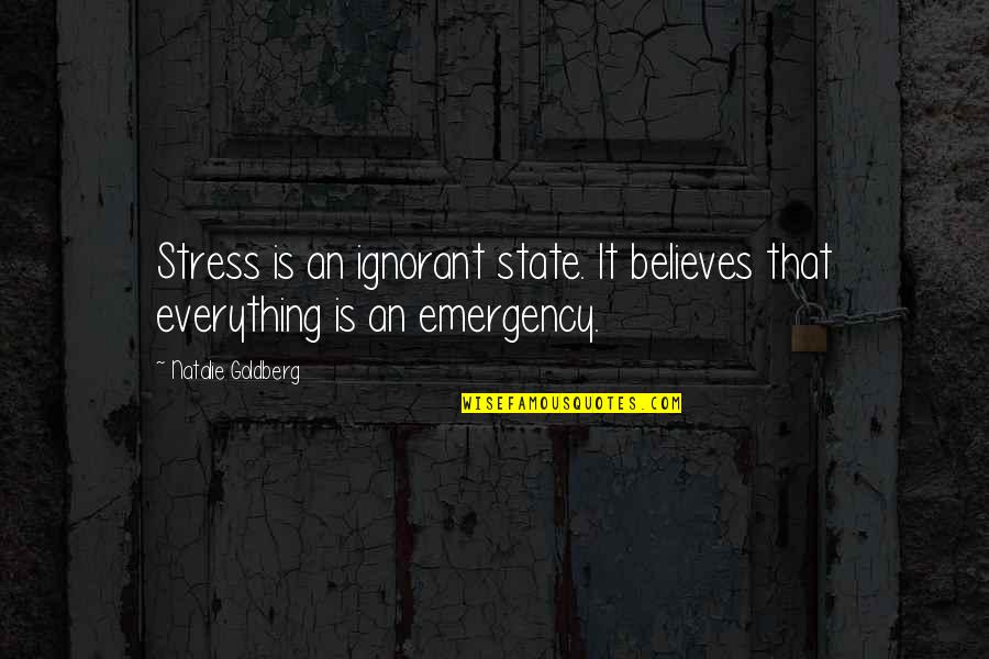 Relaxation Quotes By Natalie Goldberg: Stress is an ignorant state. It believes that Relaxation Quotes By Natalie Goldberg: Stress is an ignorant state. It believes that