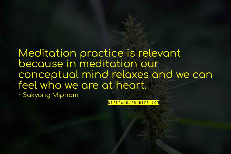 Relaxes Quotes By Sakyong Mipham: Meditation practice is relevant because in meditation our Relaxes Quotes By Sakyong Mipham: Meditation practice is relevant because in meditation our