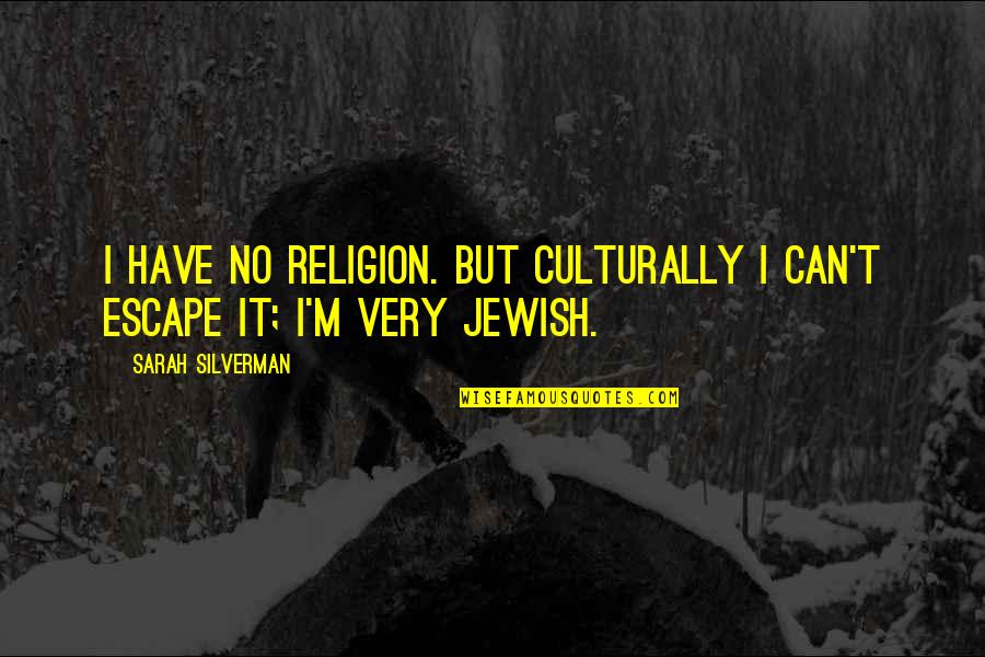 Relaxing On The Beach Quotes By Sarah Silverman: I have no religion. But culturally I can't