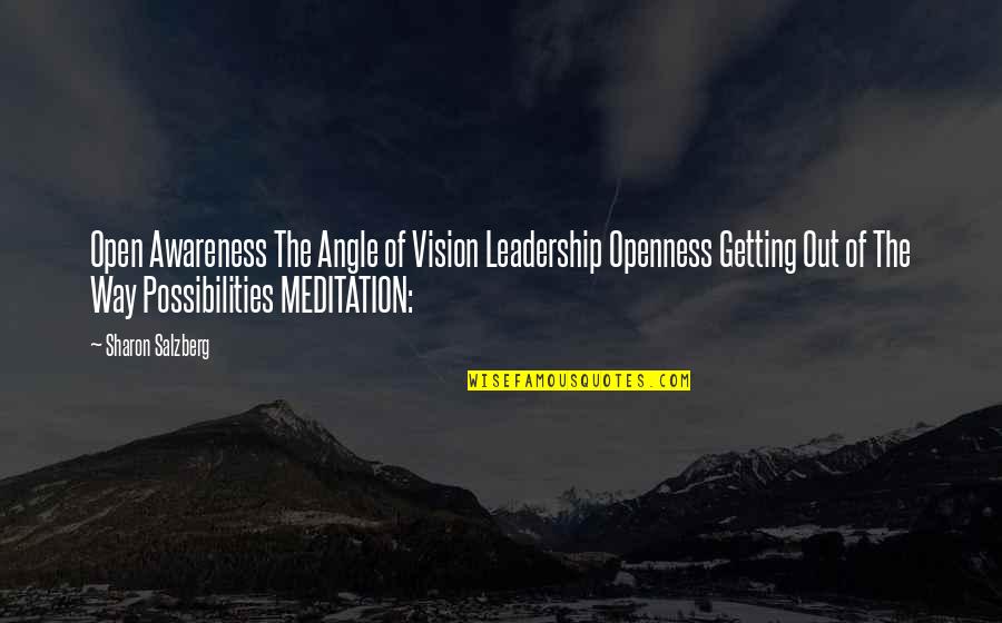 Relaziation Quotes By Sharon Salzberg: Open Awareness The Angle of Vision Leadership Openness