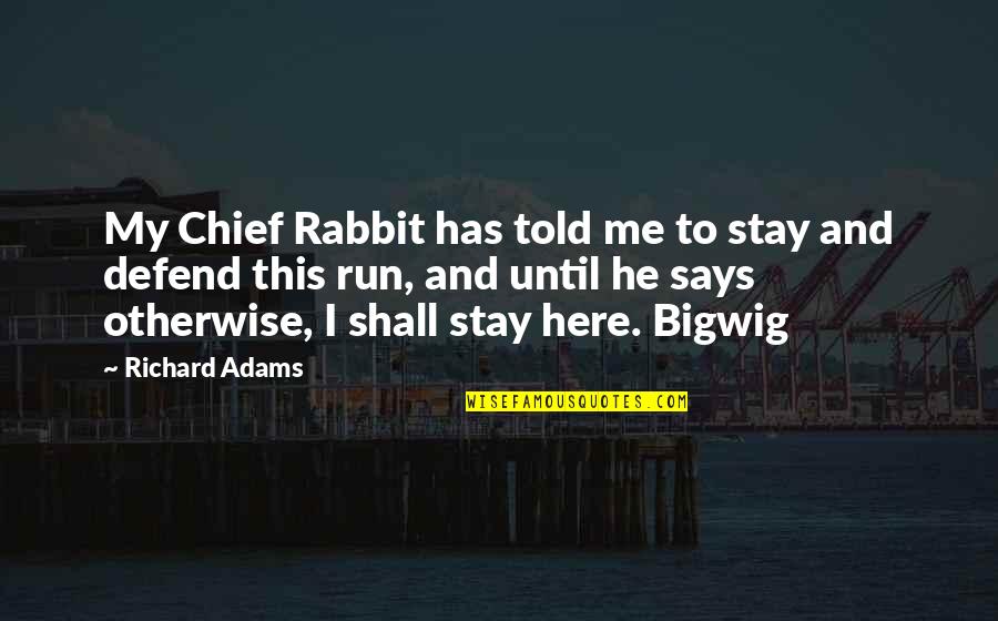 Release The Hounds Movie Quote Quotes By Richard Adams: My Chief Rabbit has told me to stay Release The Hounds Movie Quote Quotes By Richard Adams: My Chief Rabbit has told me to stay