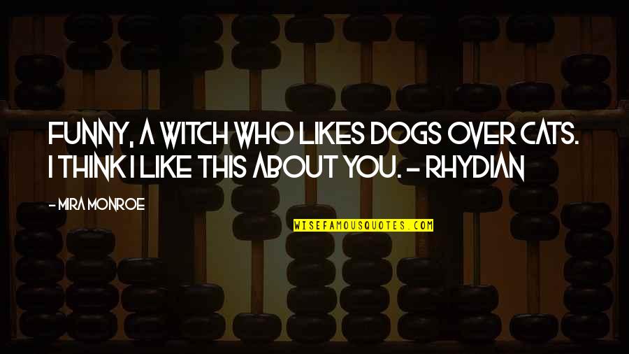 Releasing Your Anger Quotes By Mira Monroe: Funny, a witch who likes dogs over cats.