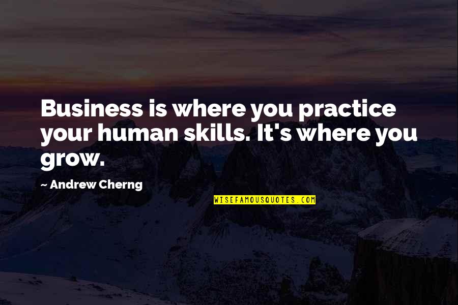Relegate Quotes By Andrew Cherng: Business is where you practice your human skills.