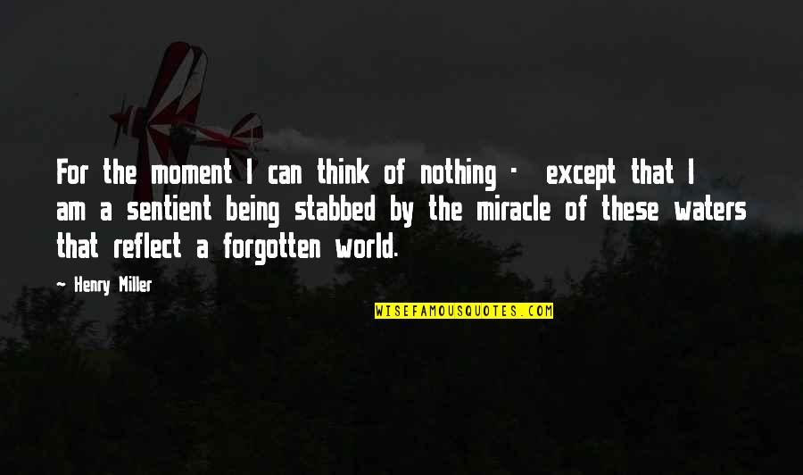 Relfection Quotes By Henry Miller: For the moment I can think of nothing