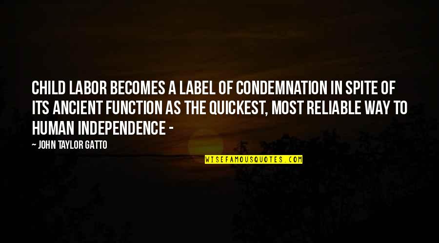 Reliable Quotes By John Taylor Gatto: Child labor becomes a label of condemnation in