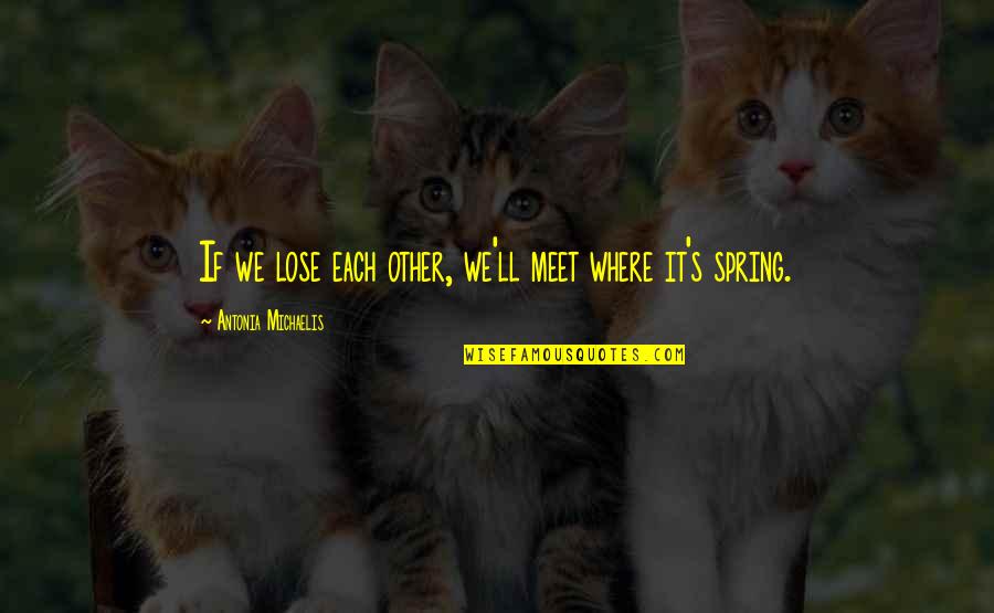 Reliance On Allah Quotes By Antonia Michaelis: If we lose each other, we'll meet where