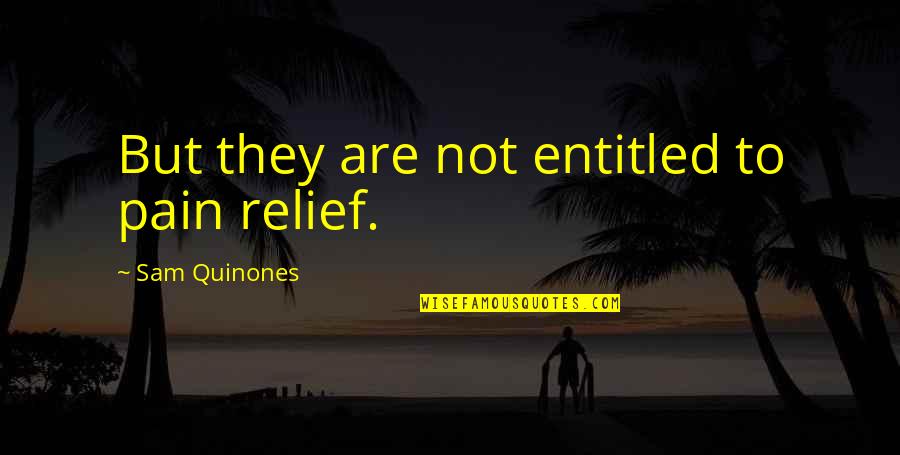 Relief Pain Quotes By Sam Quinones: But they are not entitled to pain relief.