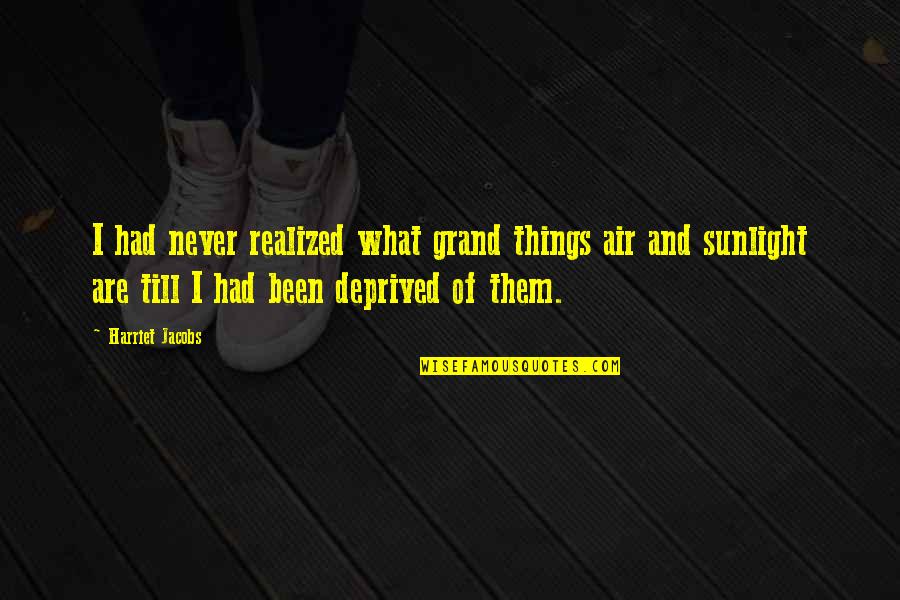 Relief Pitchers Quotes By Harriet Jacobs: I had never realized what grand things air