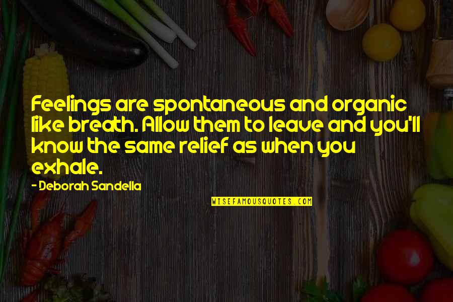 Relief Quotes By Deborah Sandella: Feelings are spontaneous and organic like breath. Allow
