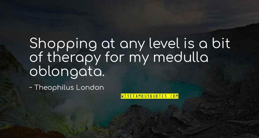 Relieving Wishes Quotes By Theophilus London: Shopping at any level is a bit of