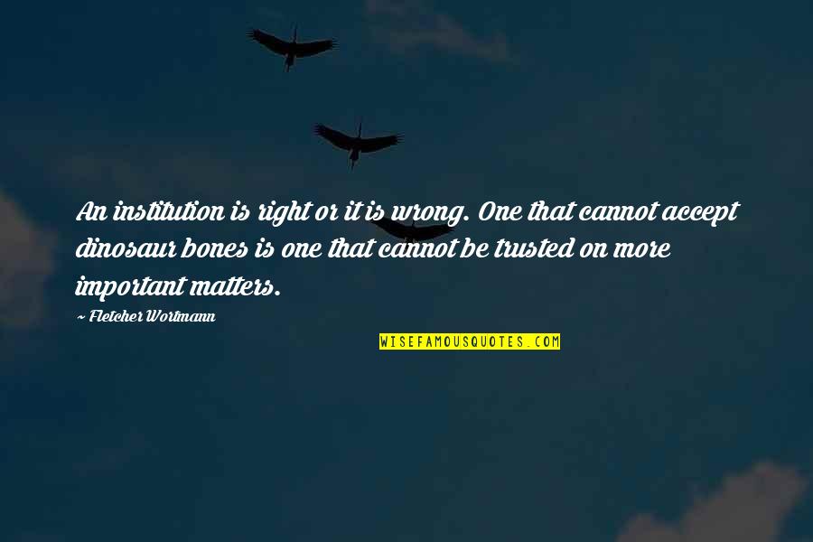 Religion Is Wrong Quotes By Fletcher Wortmann: An institution is right or it is wrong.