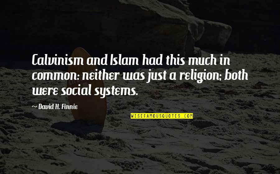 Religion Islam Quotes By David H. Finnie: Calvinism and Islam had this much in common: