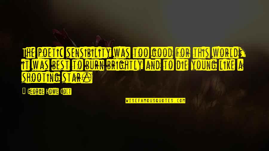 Religiosity In Schizophrenia Quotes By George Howe Colt: The poetic sensibility was too good for this Religiosity In Schizophrenia Quotes By George Howe Colt: The poetic sensibility was too good for this