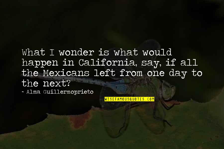Religious Devotion Quotes By Alma Guillermoprieto: What I wonder is what would happen in