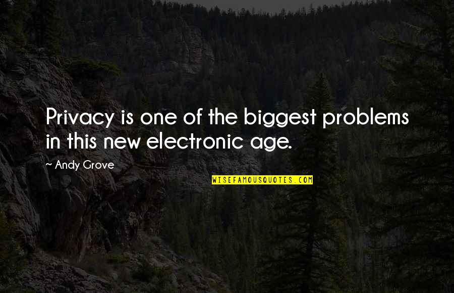 Religious Nonsense Quotes By Andy Grove: Privacy is one of the biggest problems in