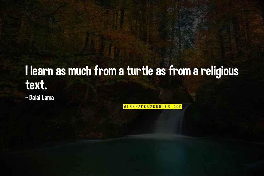 Religious Text Quotes By Dalai Lama: I learn as much from a turtle as