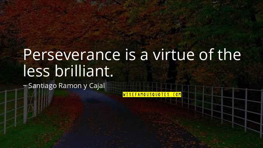 Reling Noord Quotes By Santiago Ramon Y Cajal: Perseverance is a virtue of the less brilliant. Reling Noord Quotes By Santiago Ramon Y Cajal: Perseverance is a virtue of the less brilliant.