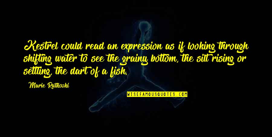Reliquarum Quotes By Marie Rutkoski: Kestrel could read an expression as if looking Reliquarum Quotes By Marie Rutkoski: Kestrel could read an expression as if looking