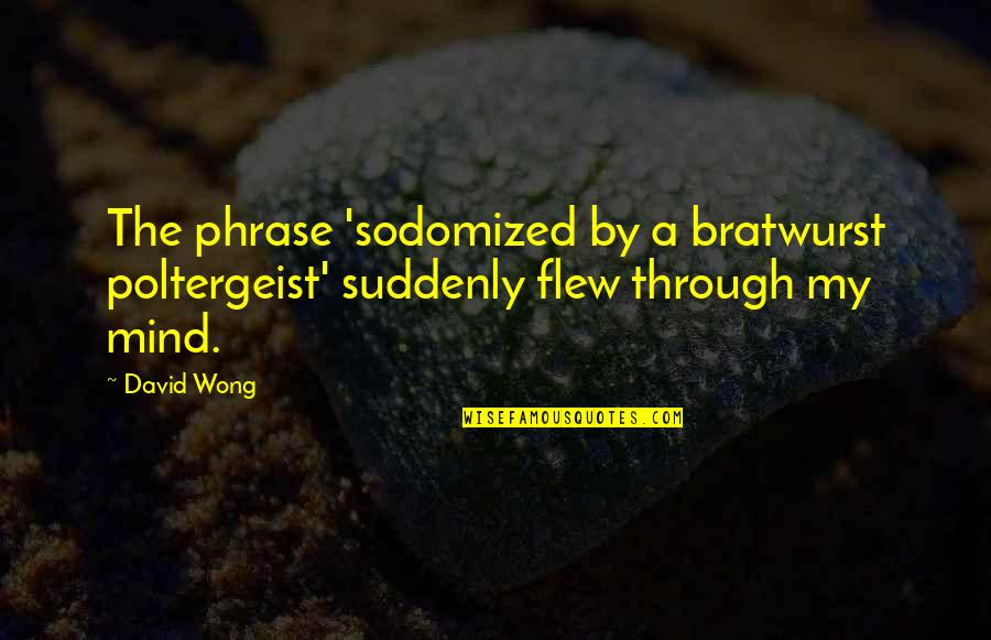 Reliquishes Quotes By David Wong: The phrase 'sodomized by a bratwurst poltergeist' suddenly