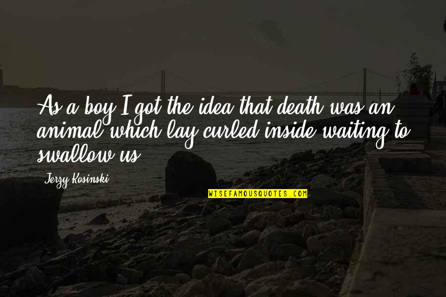 Relise Quotes By Jerzy Kosinski: As a boy I got the idea that Relise Quotes By Jerzy Kosinski: As a boy I got the idea that