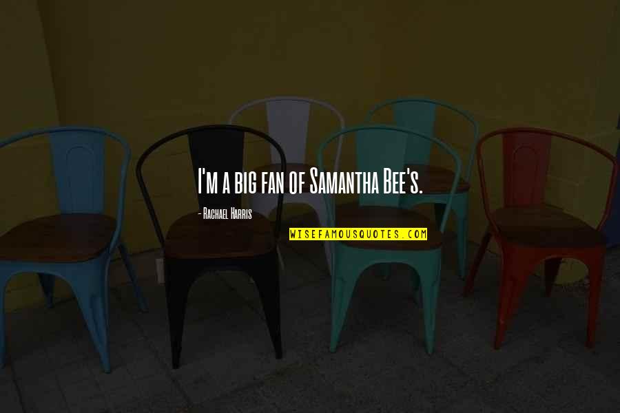 Rellos Creamery Quotes By Rachael Harris: I'm a big fan of Samantha Bee's. Rellos Creamery Quotes By Rachael Harris: I'm a big fan of Samantha Bee's.