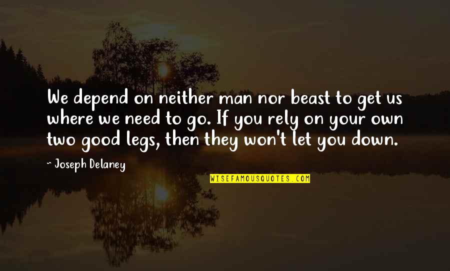 Rely On You Quotes By Joseph Delaney: We depend on neither man nor beast to