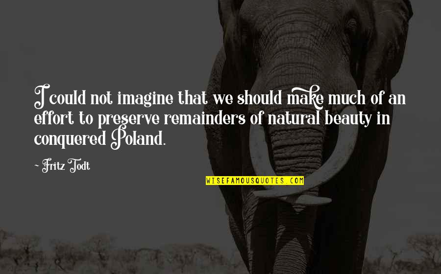 Remainders Quotes By Fritz Todt: I could not imagine that we should make Remainders Quotes By Fritz Todt: I could not imagine that we should make