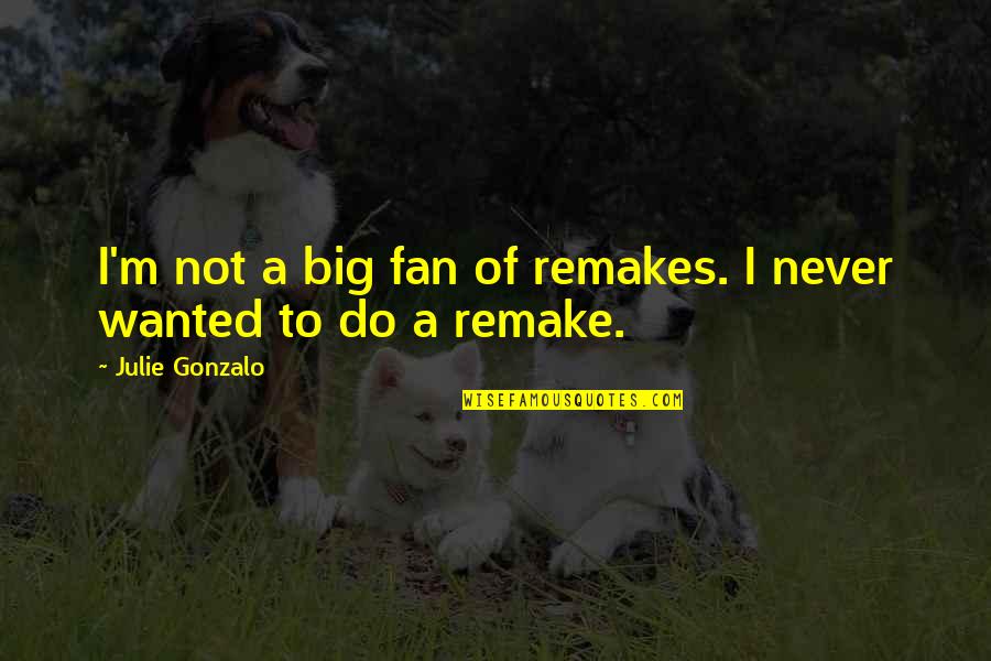Remakes Quotes By Julie Gonzalo: I'm not a big fan of remakes. I Remakes Quotes By Julie Gonzalo: I'm not a big fan of remakes. I