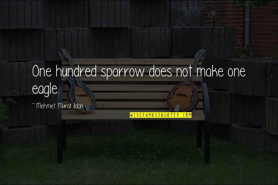 Remediable Quotes By Mehmet Murat Ildan: One hundred sparrow does not make one eagle.