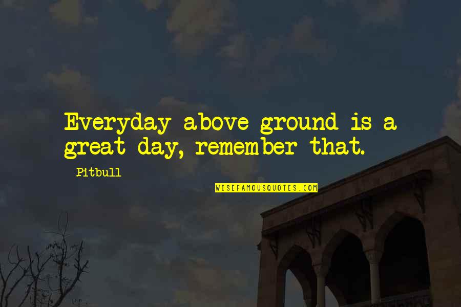 Remember Day Quotes By Pitbull: Everyday above ground is a great day, remember