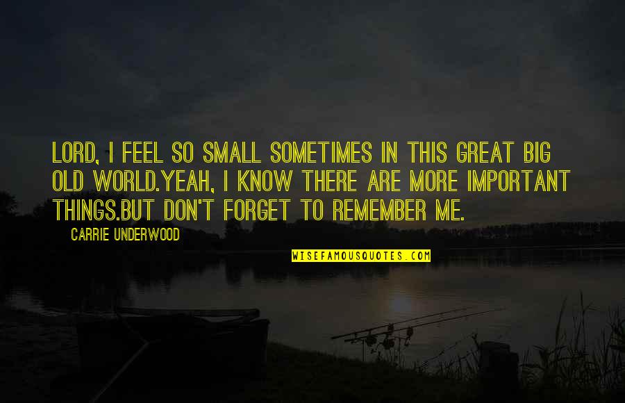 Remember Forget Quotes By Carrie Underwood: Lord, I feel so small sometimes in this