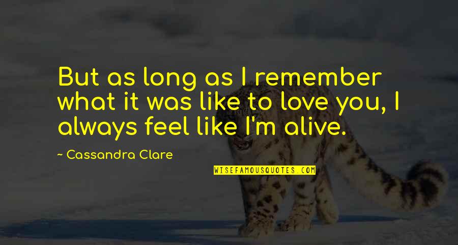 Remember I Love You Quotes By Cassandra Clare: But as long as I remember what it
