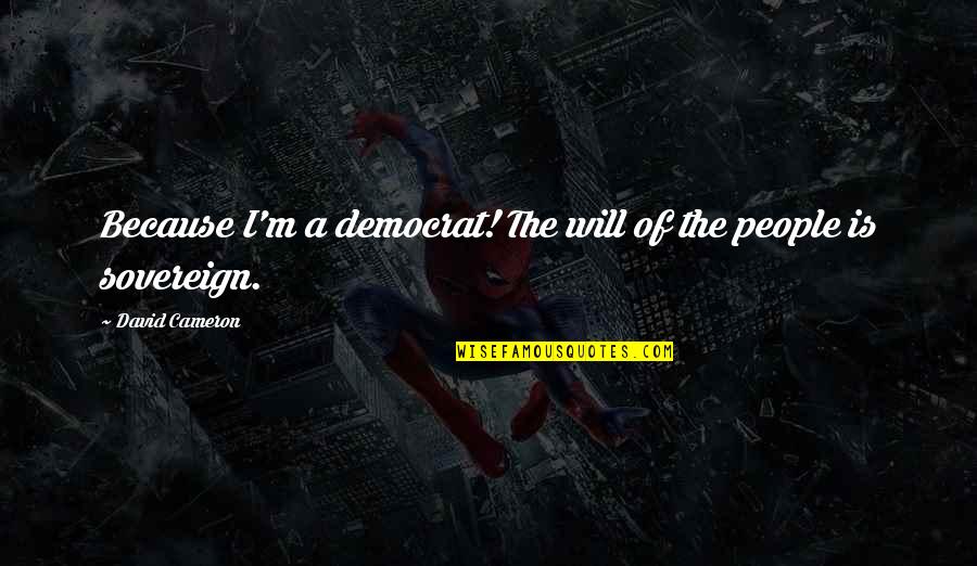 Remember Stephanie Quotes By David Cameron: Because I'm a democrat! The will of the Remember Stephanie Quotes By David Cameron: Because I'm a democrat! The will of the