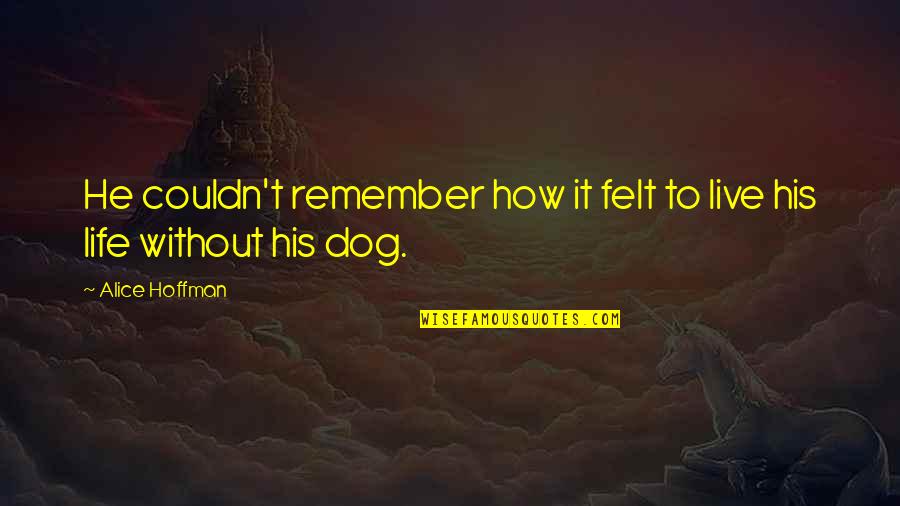 Remember To Live Life Quotes By Alice Hoffman: He couldn't remember how it felt to live