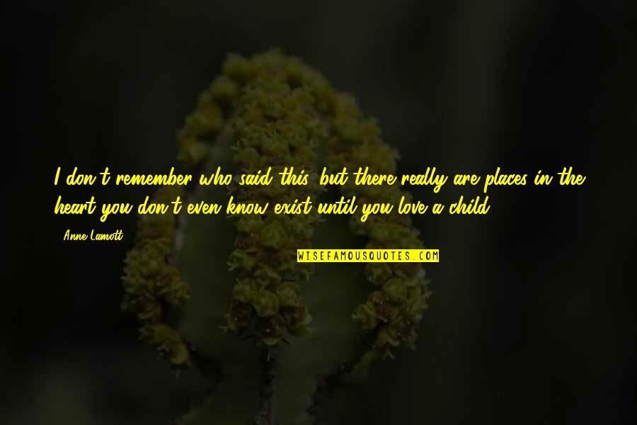 Remember Who You Are Quotes By Anne Lamott: I don't remember who said this, but there