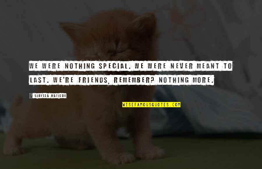 Remember You Are Special Quotes By Sibylla Matilde: We were nothing special. We were never meant Remember You Are Special Quotes By Sibylla Matilde: We were nothing special. We were never meant