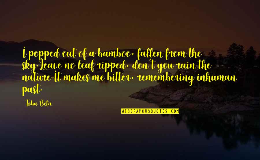 Remembering Our Past Quotes By Toba Beta: I popped out of a bamboo, fallen from