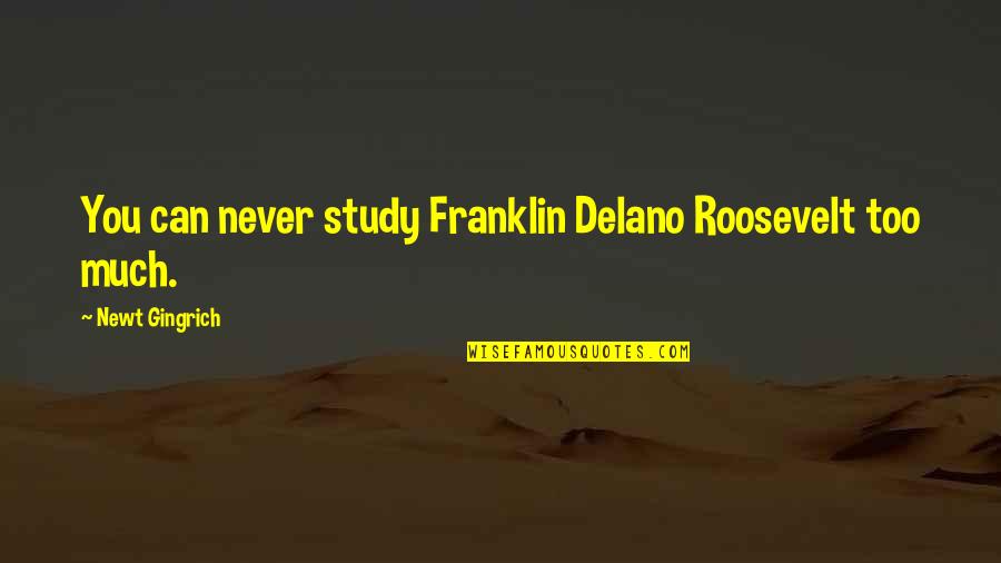 Remembering You Dad Quotes By Newt Gingrich: You can never study Franklin Delano Roosevelt too