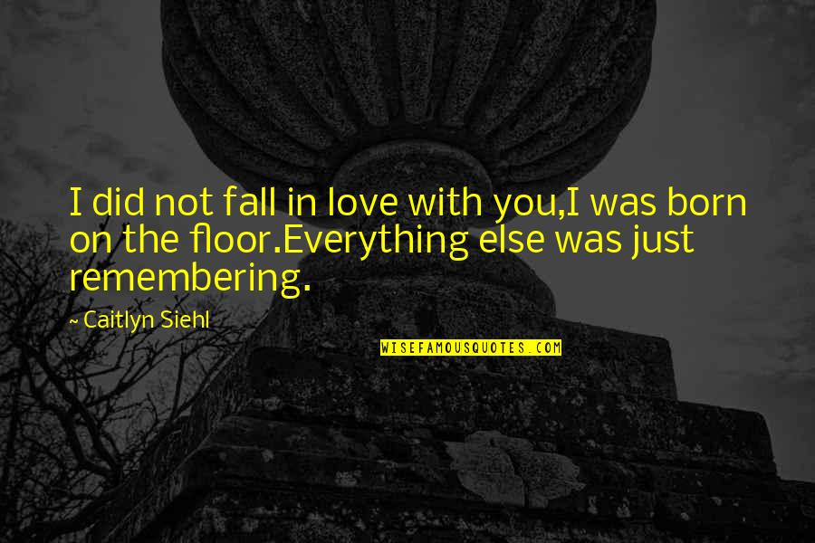 Remembering You Quotes By Caitlyn Siehl: I did not fall in love with you,I