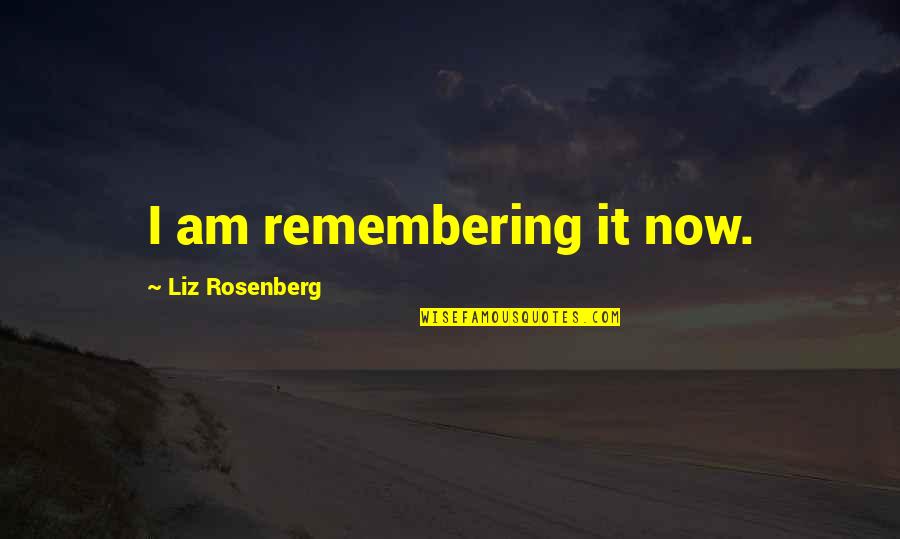 Remembering Your Love Quotes By Liz Rosenberg: I am remembering it now.