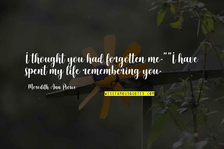 Remembering Your Love Quotes By Meredith Ann Pierce: I thought you had forgotten me.""I have spent